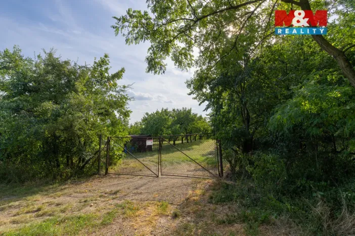 Prodej pole, Židlochovice, 4295 m2