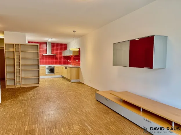 Pronájem bytu 2+kk, Brno - Lesná, Haškova, 80 m2