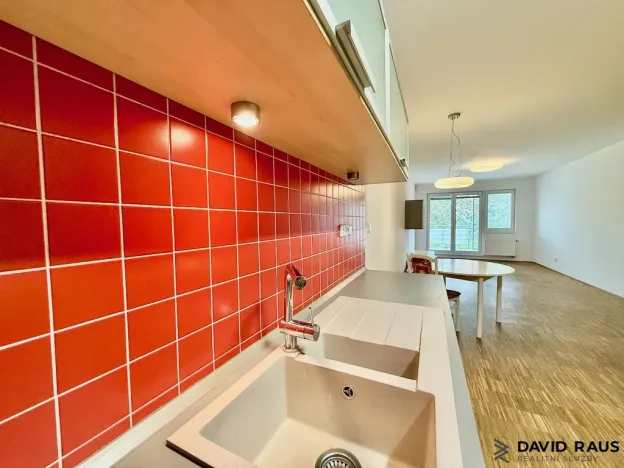 Pronájem bytu 2+kk, Brno - Lesná, Haškova, 80 m2