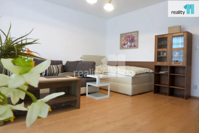 Pronájem bytu 1+1, Karlovy Vary - Doubí, Spálená, 50 m2