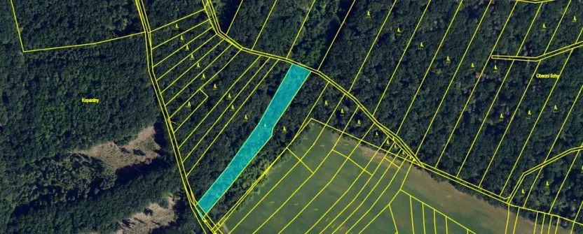 Prodej lesa, Silůvky, 3896 m2