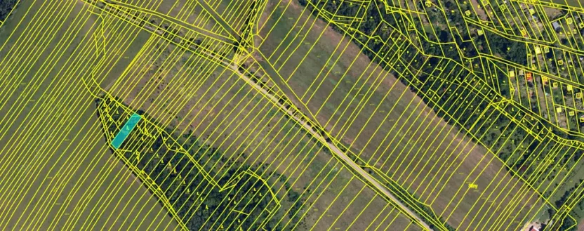 Prodej lesa, Silůvky, 462 m2