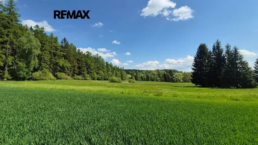 Prodej pozemku pro bydlení, Borová, 5776 m2