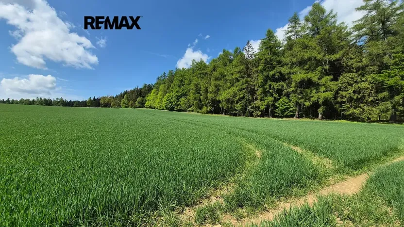 Prodej pozemku pro bydlení, Borová, 5776 m2