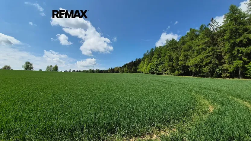 Prodej pozemku pro bydlení, Borová, 5776 m2