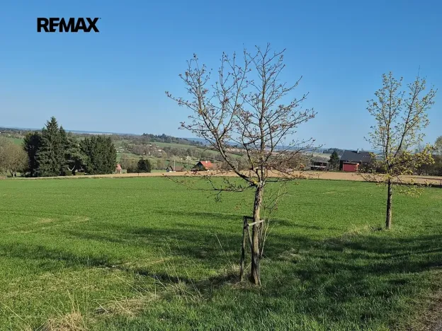 Prodej pozemku pro bydlení, Borová, 7429 m2