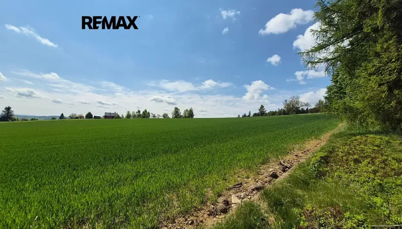 Prodej pozemku pro bydlení, Borová, 7429 m2