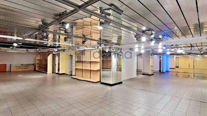 Pronájem obchodního prostoru, Praha, Na Poříčí, 310 m2