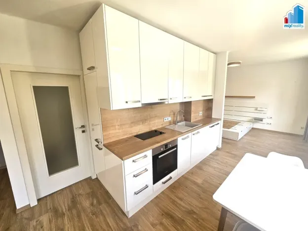 Pronájem bytu 1+kk, Plzeň, Strnadova, 54 m2