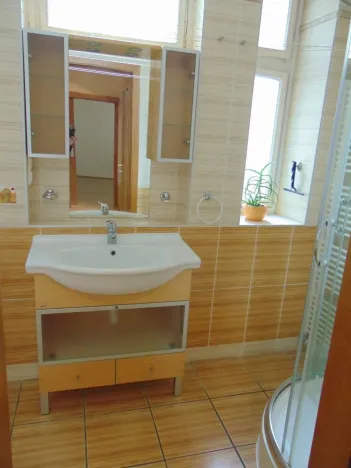 Pronájem bytu 2+kk, Praha - Vinohrady, Čáslavská, 55 m2