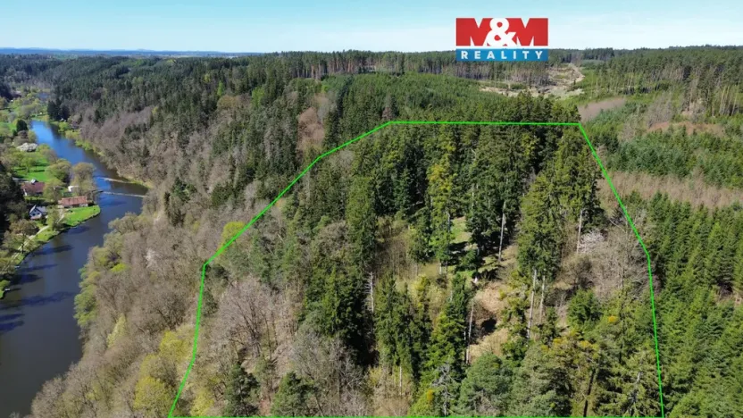 Prodej lesa, Řepeč, 39640 m2