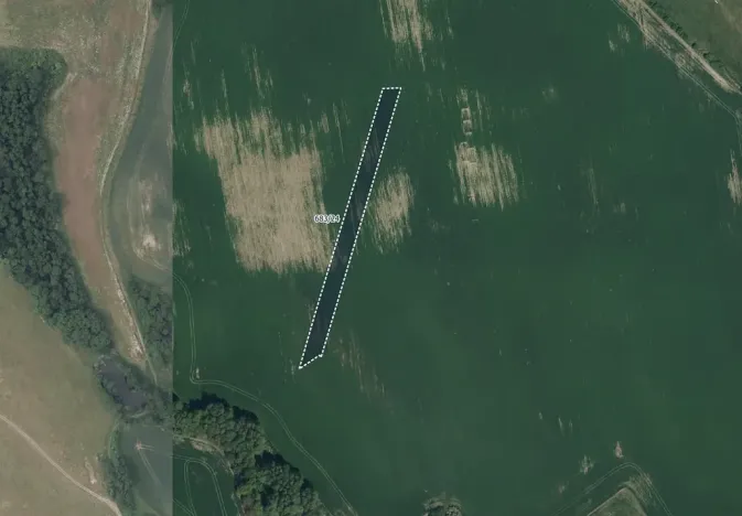 Prodej podílu pole, Podhořany u Ronova, 1986 m2