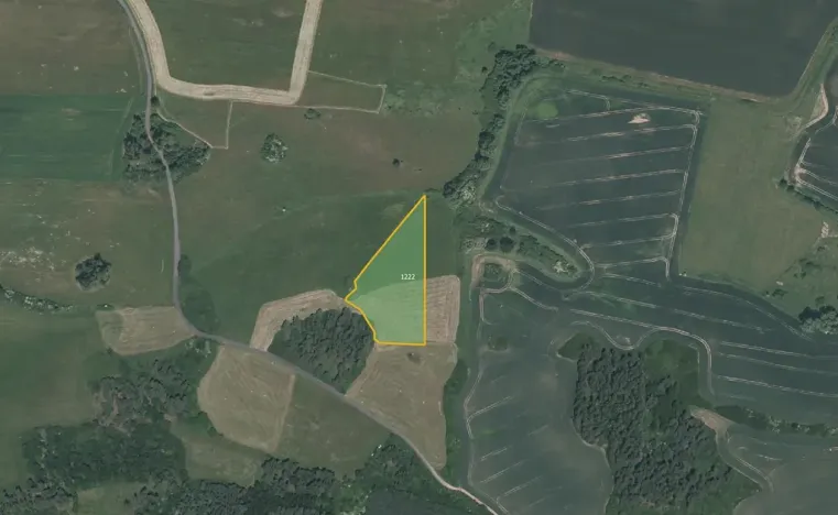 Prodej louky, Pačejov, 13638 m2