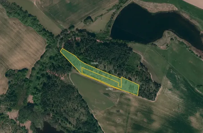 Prodej lesa, Třebíč, 14245 m2