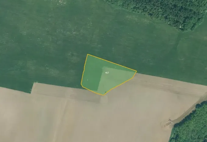 Prodej pole, Bor, 8917 m2