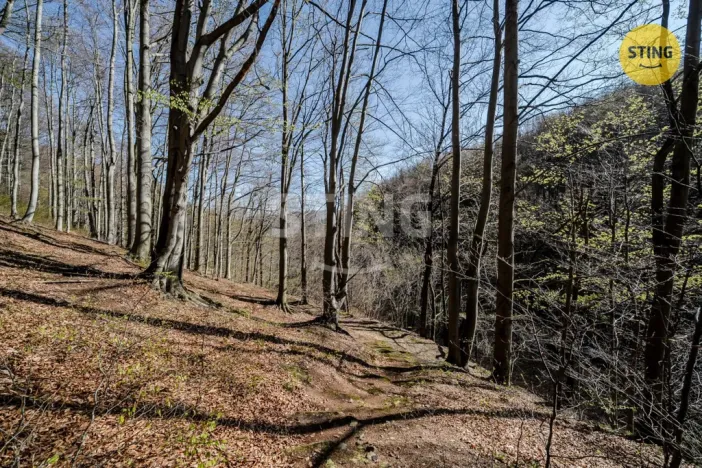 Prodej chaty, Komorní Lhotka, 62 m2