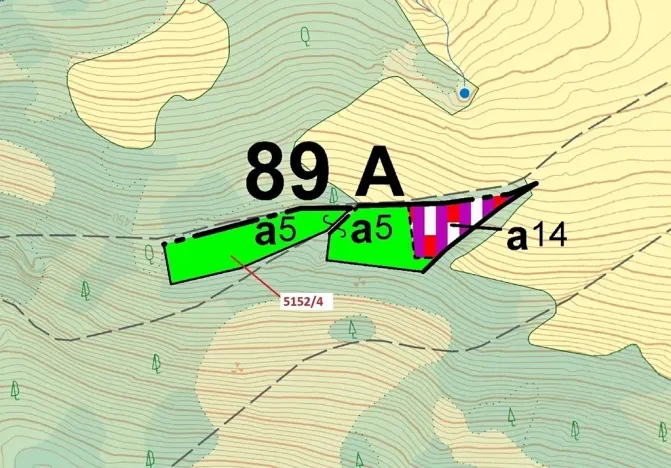 Dražba lesa, Mikulášovice, 3638 m2