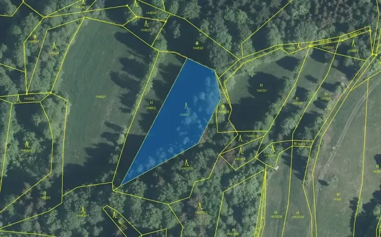 Dražba lesa, Hovězí, 2322 m2