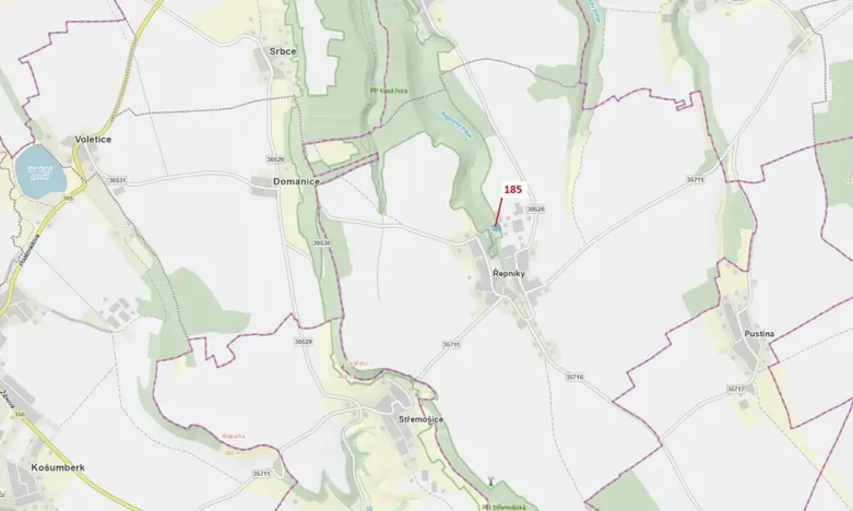 Dražba lesa, Řepníky, 2374 m2