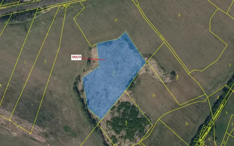 Dražba lesa, Počátky, 9119 m2