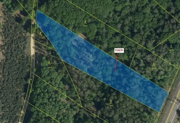 Dražba lesa, Čeperka, 5317 m2