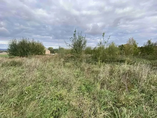 Dražba pozemku pro bydlení, Javorník, 1651 m2