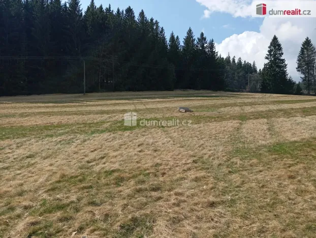 Prodej pozemku pro bydlení, Zdíkov - Masákova Lhota, 6036 m2