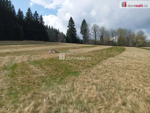 Prodej pozemku pro bydlení, Zdíkov - Masákova Lhota, 6036 m2