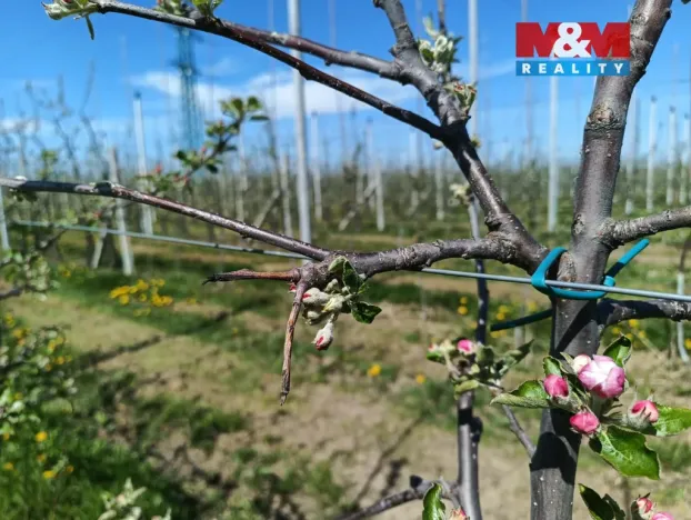 Prodej pole, Synkov-Slemeno - Slemeno, 8946 m2