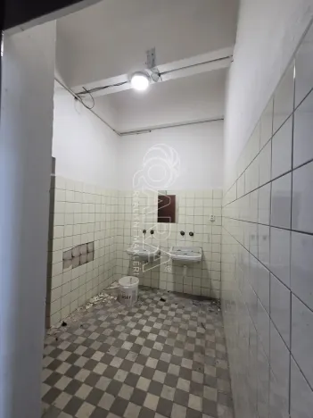 Pronájem obchodního prostoru, Přelouč, Jaselská, 10000 m2