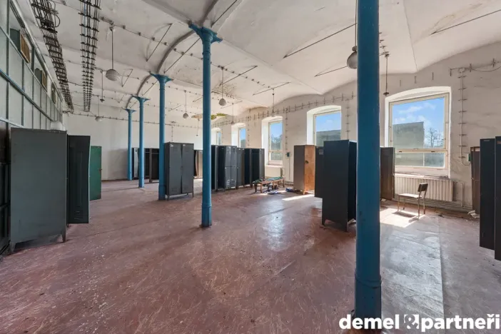 Prodej výrobních prostor, Světlá Hora - Světlá, 6500 m2