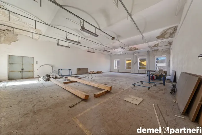 Prodej výrobních prostor, Světlá Hora - Světlá, 6500 m2
