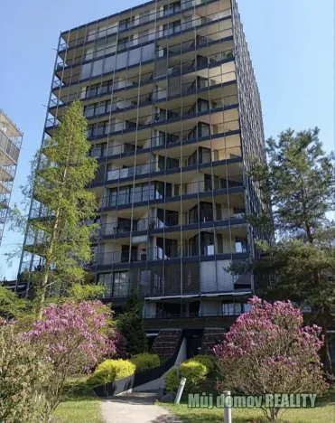 Prodej bytu 2+kk, Praha - Žižkov, 58 m2