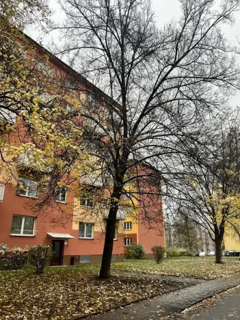 Pronájem bytu 1+kk, Ostrava - Poruba, Španielova, 31 m2