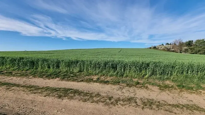 Prodej pole, Rokytnice nad Rokytnou, 25097 m2