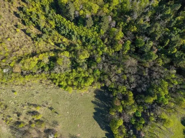 Prodej pole, Brno, 1696 m2