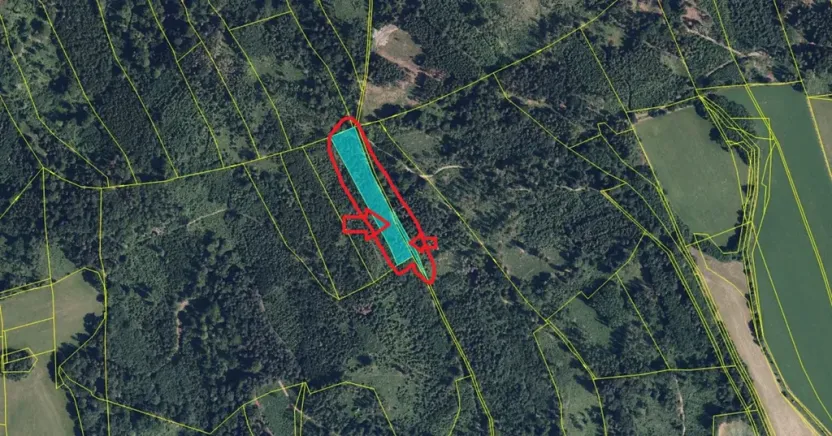 Prodej podílu lesa, Dlouhomilov, 1463 m2