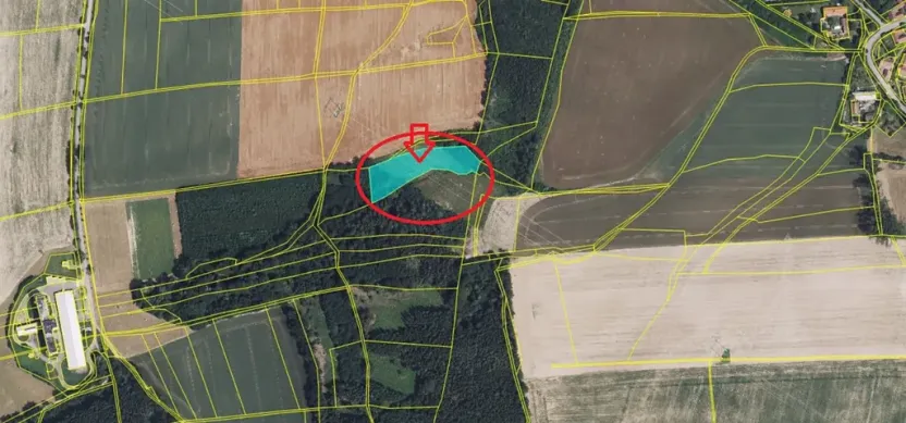 Prodej lesa, Vysoké Mýto, 5791 m2