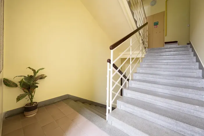 Prodej bytu 3+1, Brno, Úvoz, 97 m2