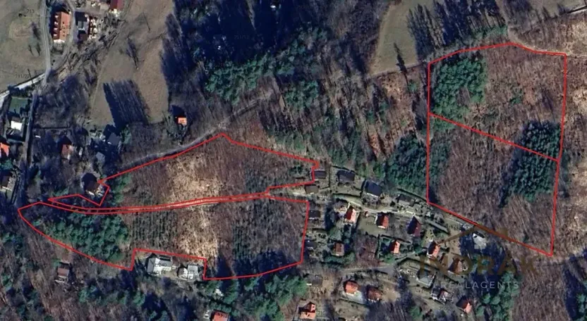 Prodej lesa, Velká Lhota, 28329 m2