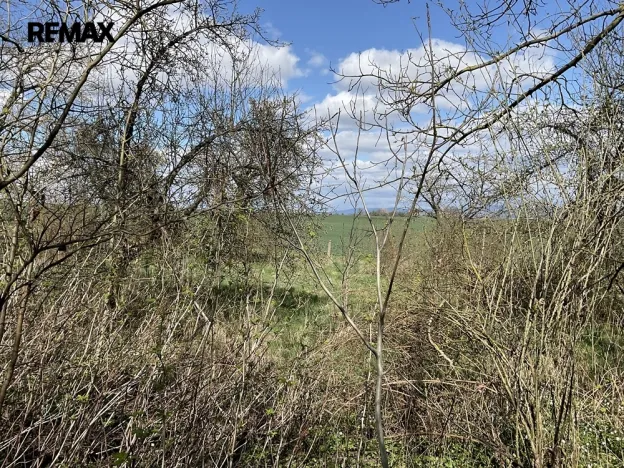 Prodej pozemku pro bydlení, Lično, 3131 m2