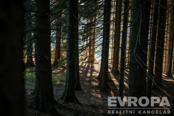 Prodej rodinného domu, Harrachov - Ryžoviště, 279 m2