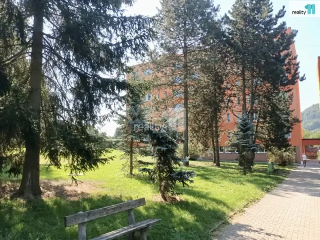 Pronájem bytu 2+kk, Nový Bor, Sadová, 36 m2