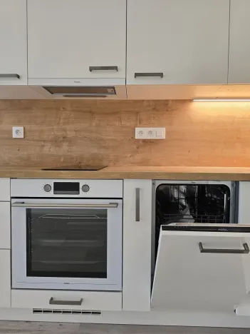 Pronájem bytu 1+kk, Plzeň, Goldscheiderova, 30 m2