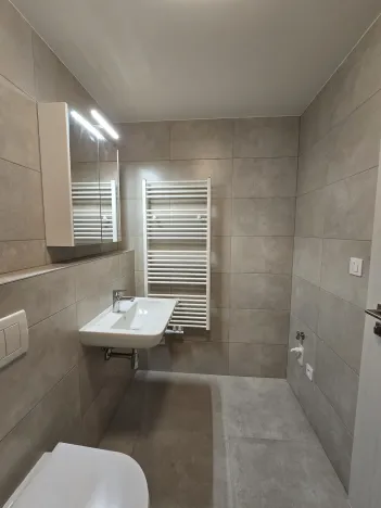 Pronájem bytu 1+kk, Plzeň, Goldscheiderova, 30 m2