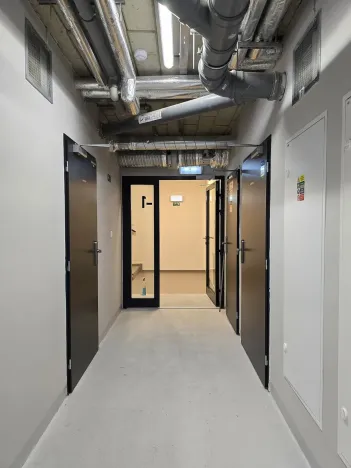 Pronájem bytu 1+kk, Plzeň, Goldscheiderova, 30 m2