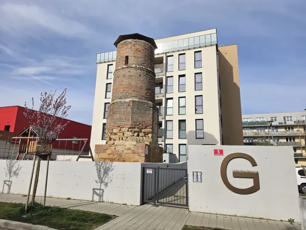 Pronájem bytu 1+kk, Plzeň, Goldscheiderova, 30 m2