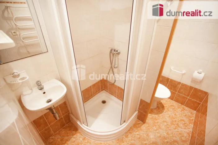 Pronájem bytu 1+1, České Budějovice - České Budějovice 3, J. Plachty, 38 m2