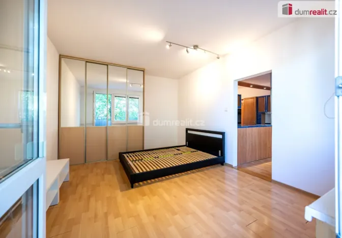 Pronájem bytu 1+1, České Budějovice - České Budějovice 3, J. Plachty, 38 m2