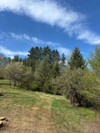 Prodej pozemku, Hrubá Skála - Doubravice, 2827 m2